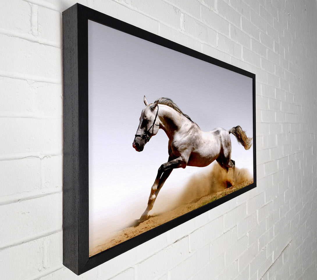  A Canvas Print of Wild Horse Running Canvas Art