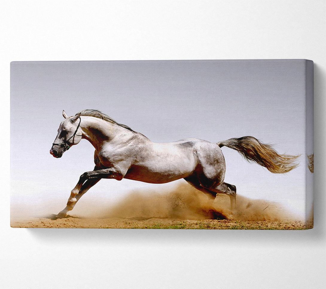  A Canvas Print of Wild Horse Running Canvas Art