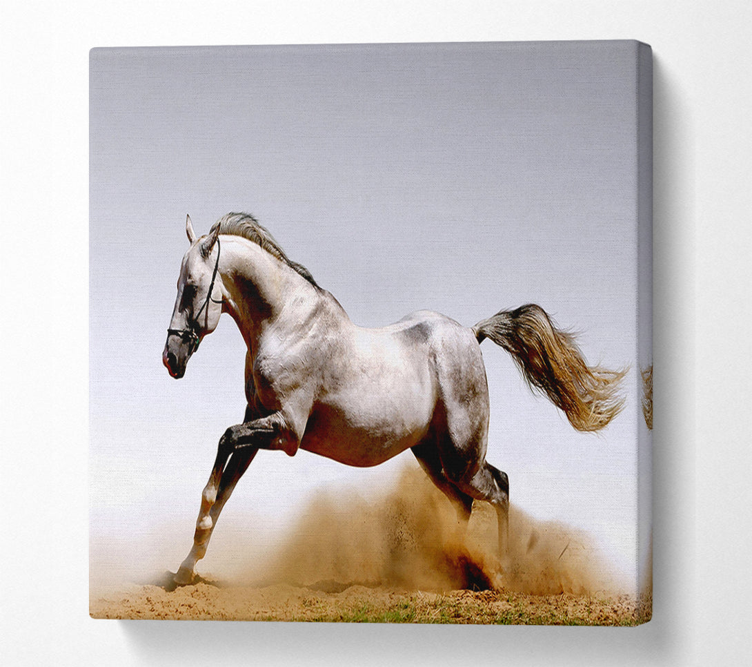  A Canvas Print of Wild Horse Running Canvas Art