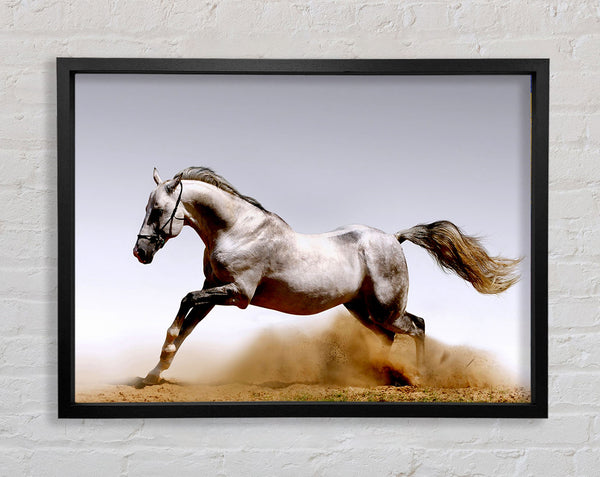 Wild Horse Running Framed Print