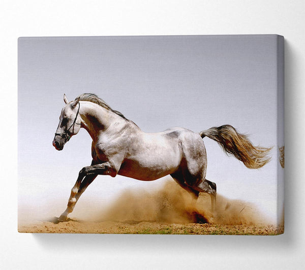  A Canvas Print of Wild Horse Running Canvas Art
