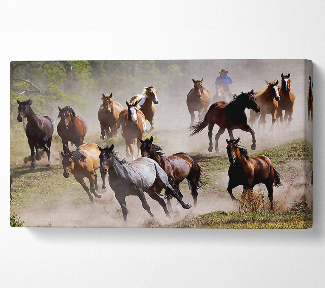 A Canvas Print of Wild Horse Stampede Canvas Print