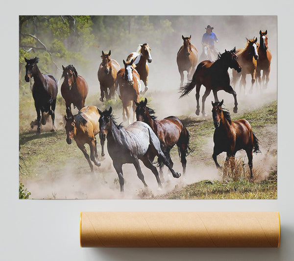Wild Horse Stampede Print