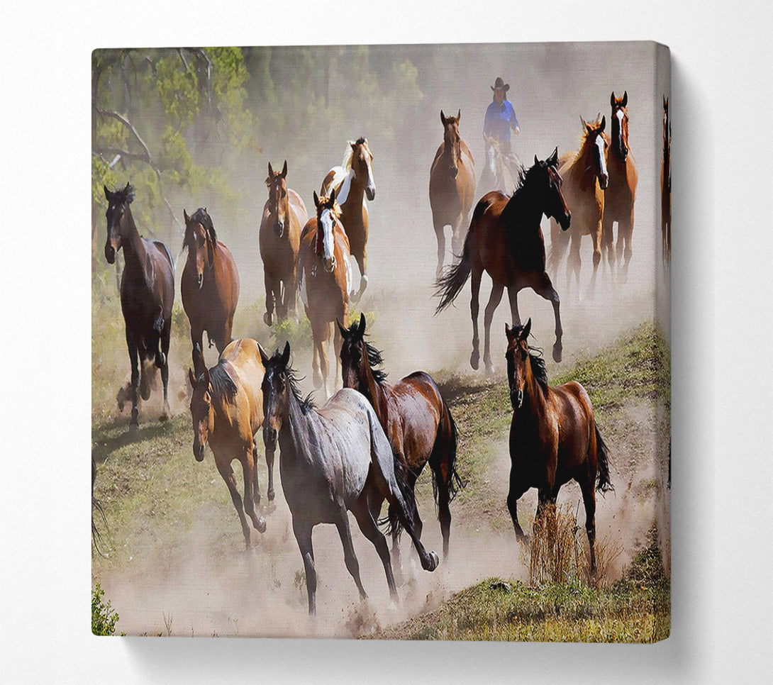 A Canvas Print of Wild Horse Stampede Canvas Print