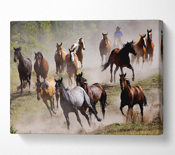  A Canvas Print of Wild Horse Stampede Canvas Print