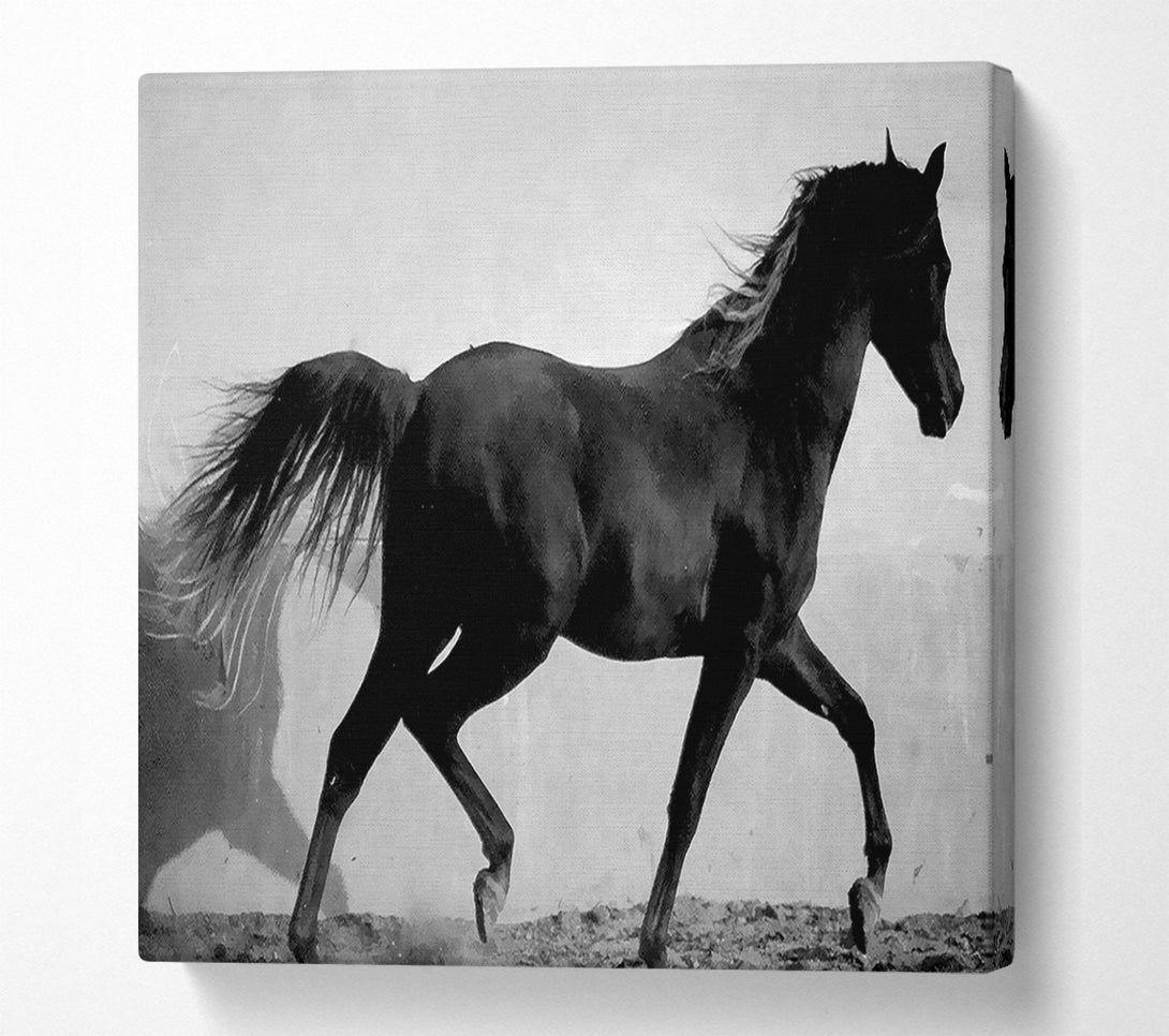  A Canvas Print of Wild Horses B n W Canvas Print