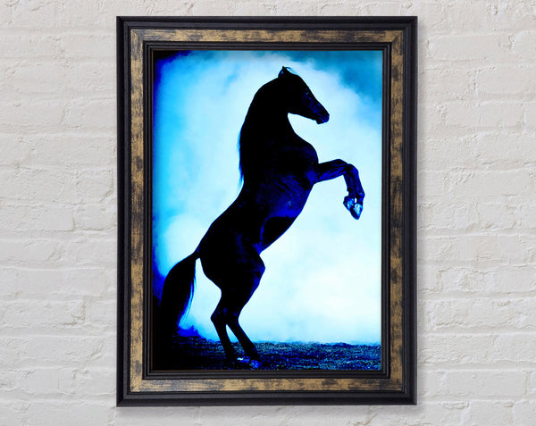 Wild Stallion In The Moonlight Framed Print