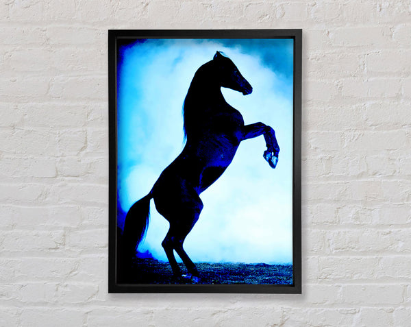 Wild Stallion In The Moonlight Framed Print