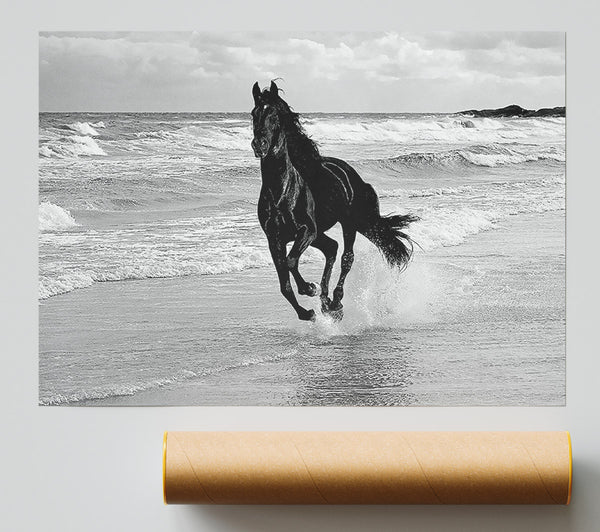 Wild Stallion In The Ocean Print