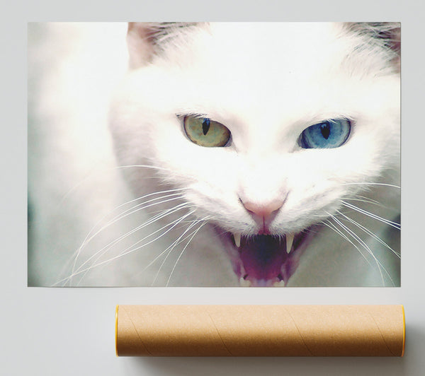 Wild White Cat Poster