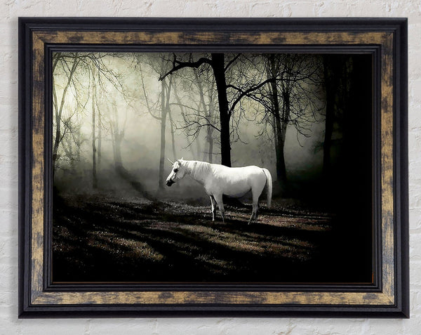 Wild White Unicorn In The Woodland Framed Print