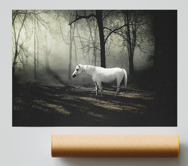 Wild White Unicorn In The Woodland Poster