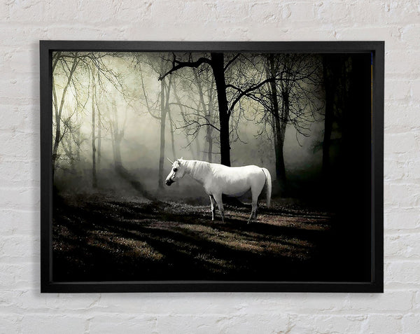 Wild White Unicorn In The Woodland Framed Print
