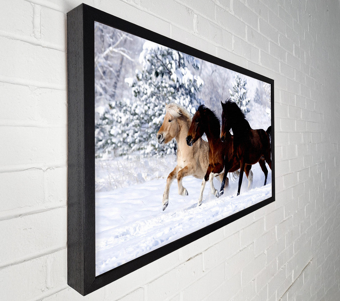  A Canvas Print of Wild Winter Horses Running Canvas Wall Art