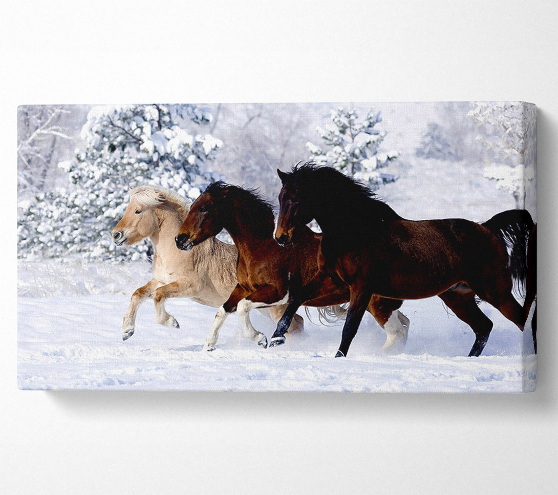  A Canvas Print of Wild Winter Horses Running Canvas Wall Art