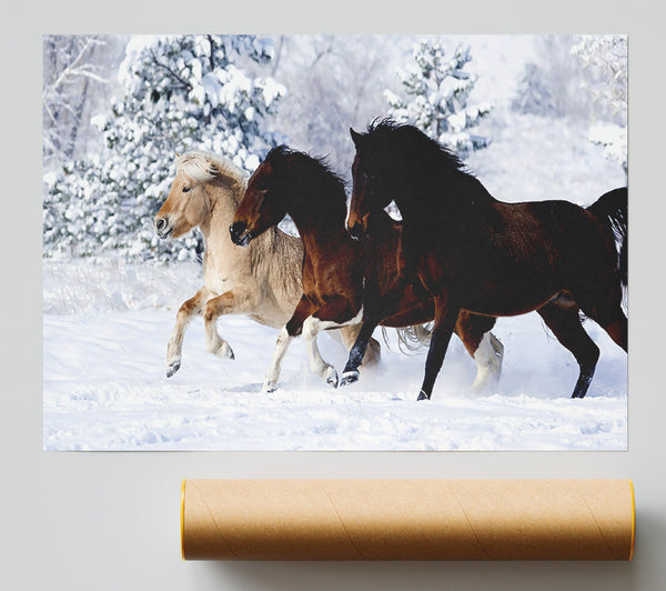 Wild Winter Horses Running Giclee Print