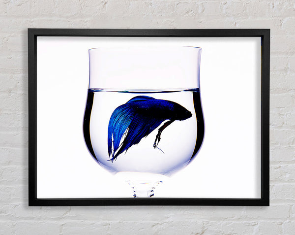 Weinglas Fisch