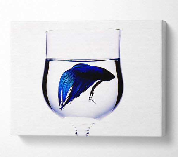  A Canvas Print of Wineglass Fish Canvas Wall Art