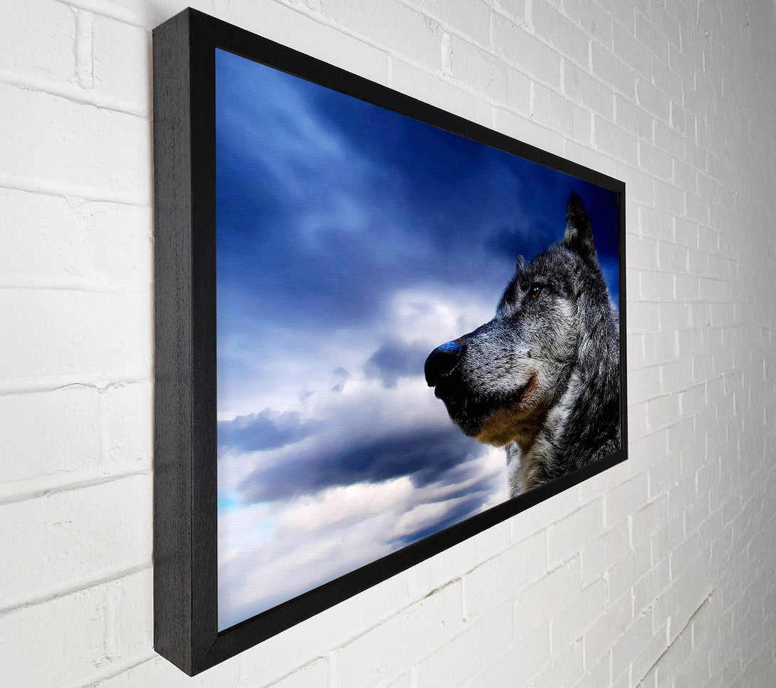  A Canvas Print of Wolf Clouds Canvas Wall Art
