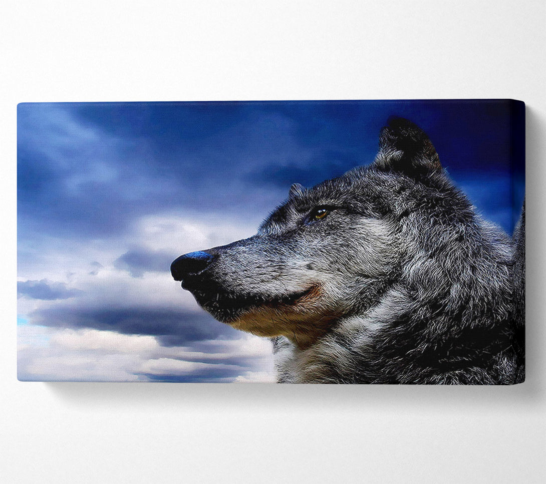  A Canvas Print of Wolf Clouds Canvas Wall Art