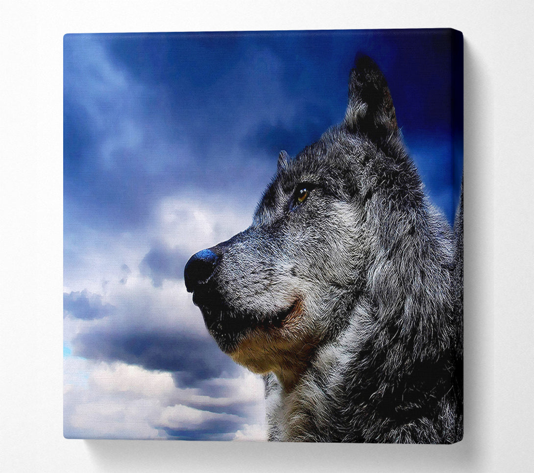  A Canvas Print of Wolf Clouds Canvas Wall Art