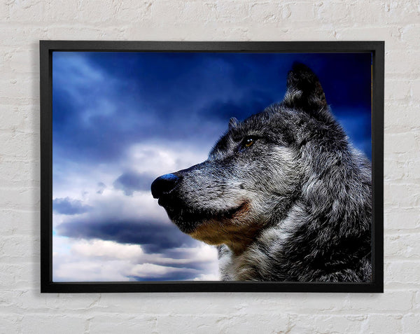 Wolf Clouds Framed Print