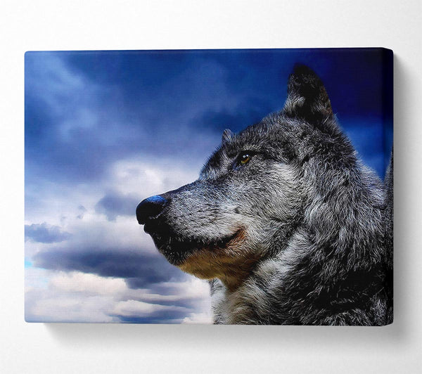  A Canvas Print of Wolf Clouds Canvas Wall Art