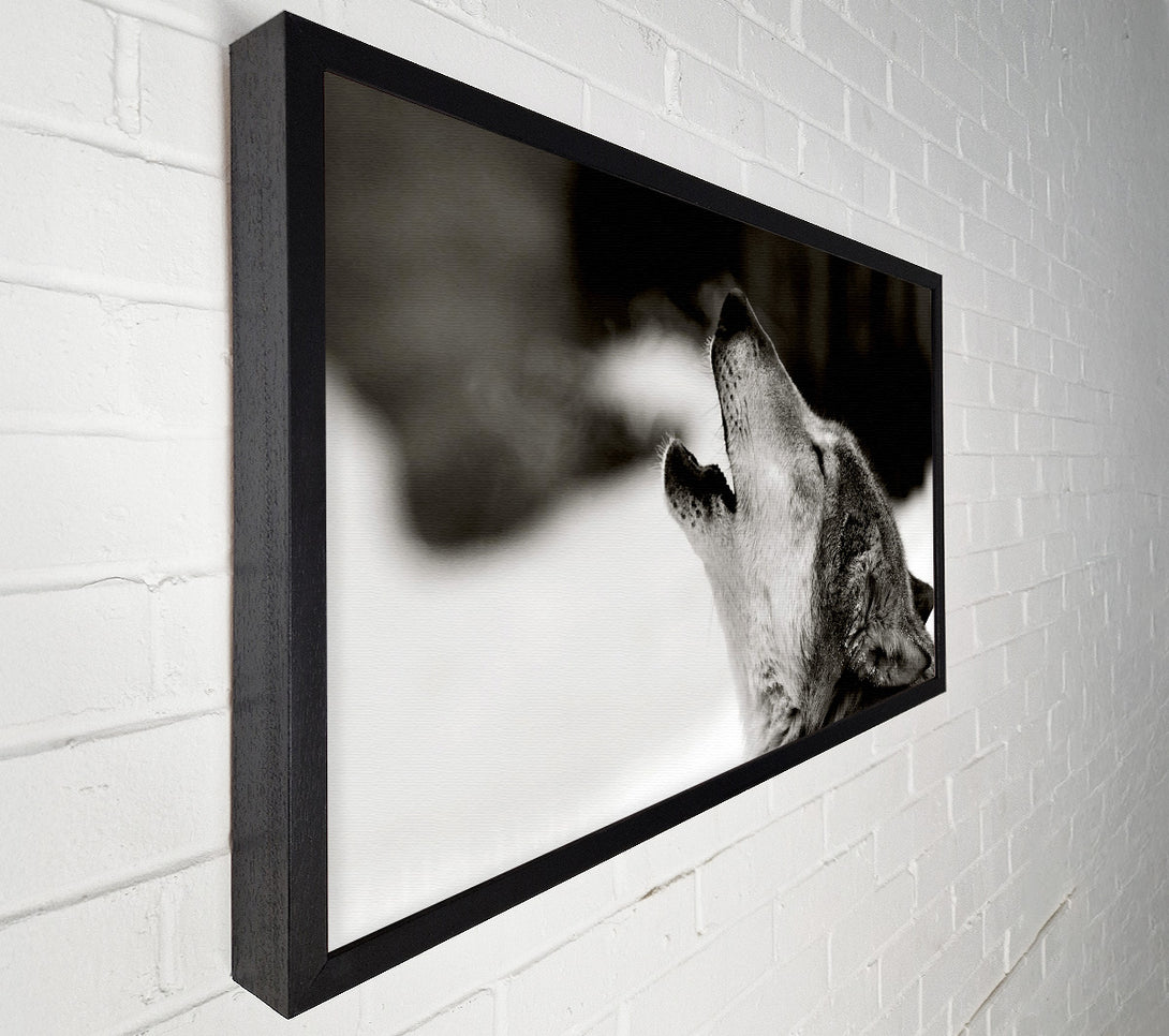  A Canvas Print of Wolf Howl Canvas Art