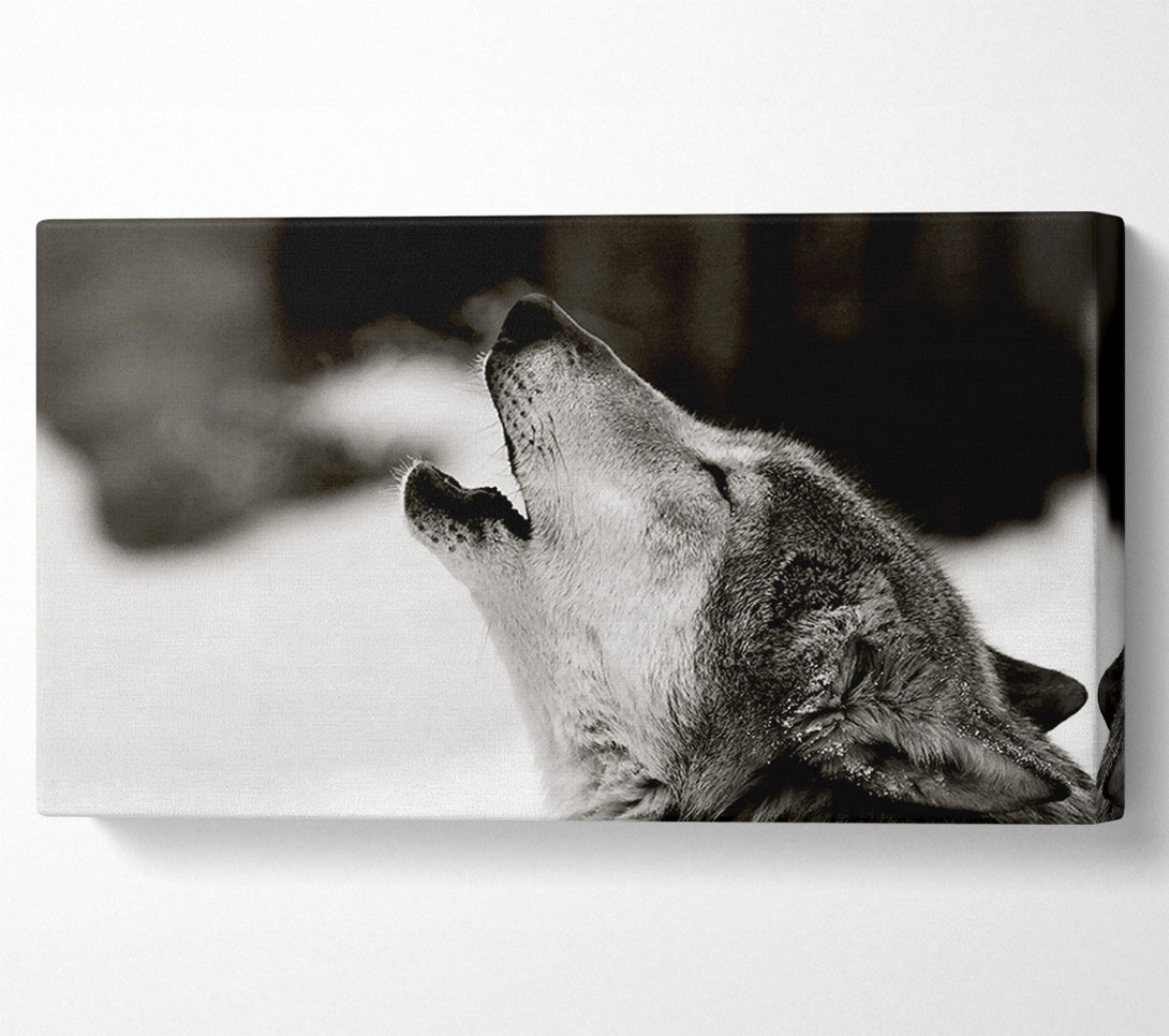  A Canvas Print of Wolf Howl Canvas Art