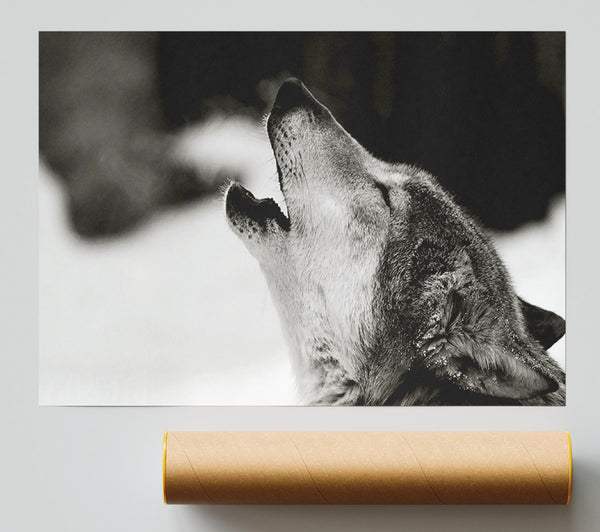 Wolf Howl Print