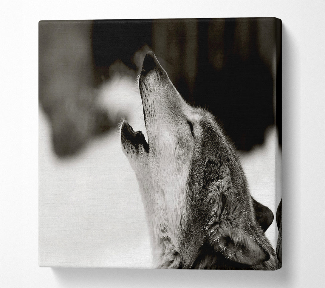  A Canvas Print of Wolf Howl Canvas Art