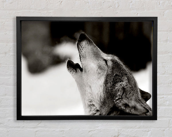 Wolf Howl Framed Print