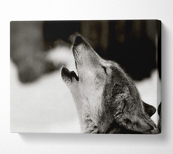  A Canvas Print of Wolf Howl Canvas Art