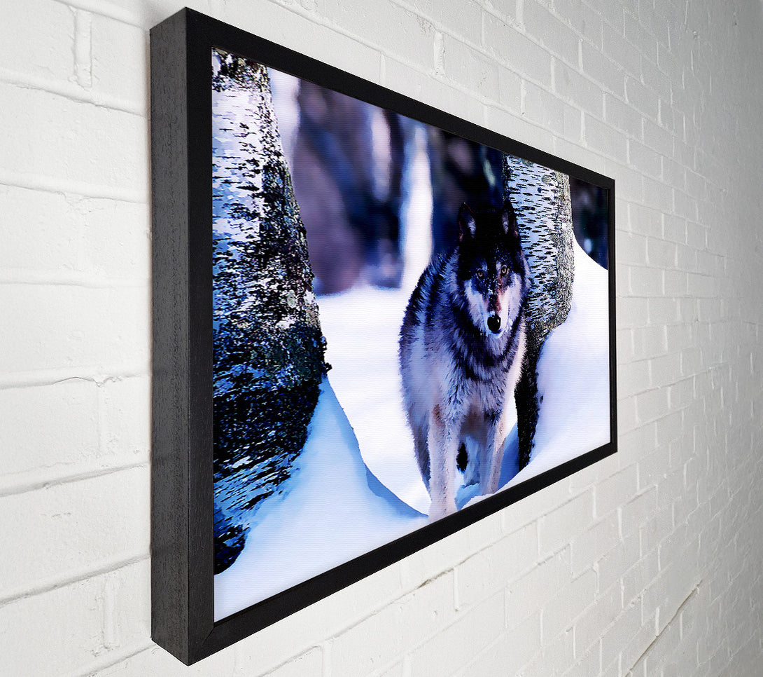  A Canvas Print of Wolf In The Snow Canvas Print