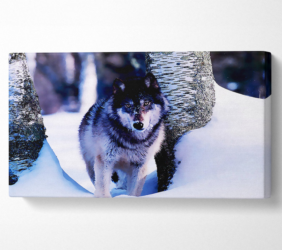  A Canvas Print of Wolf In The Snow Canvas Print