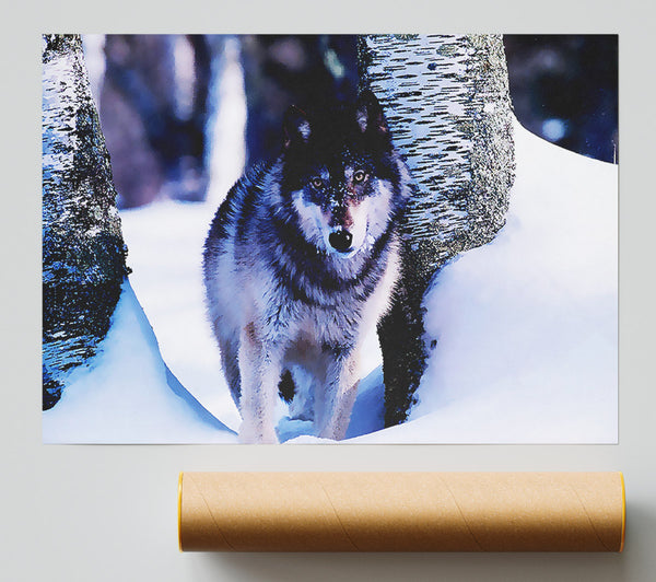 Wolf In The Snow Giclee Print