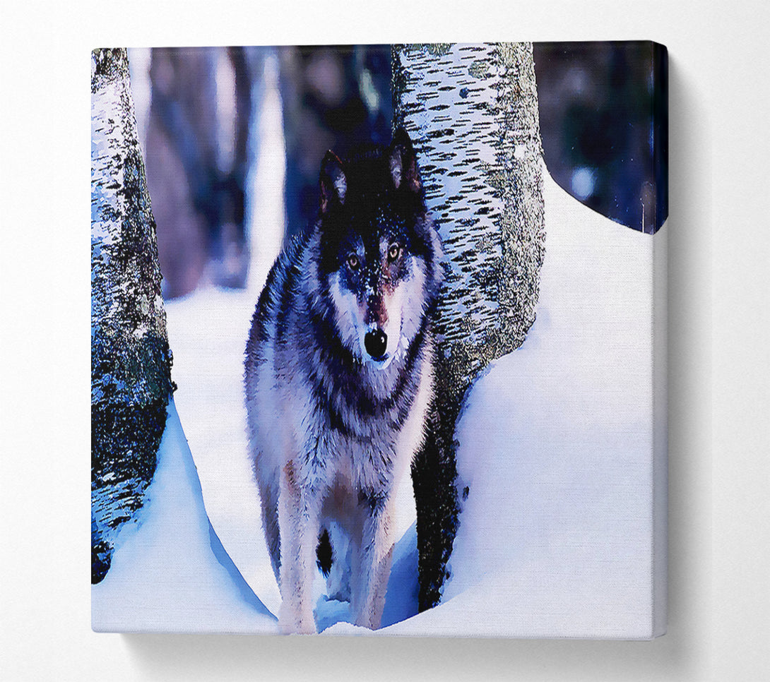  A Canvas Print of Wolf In The Snow Canvas Print