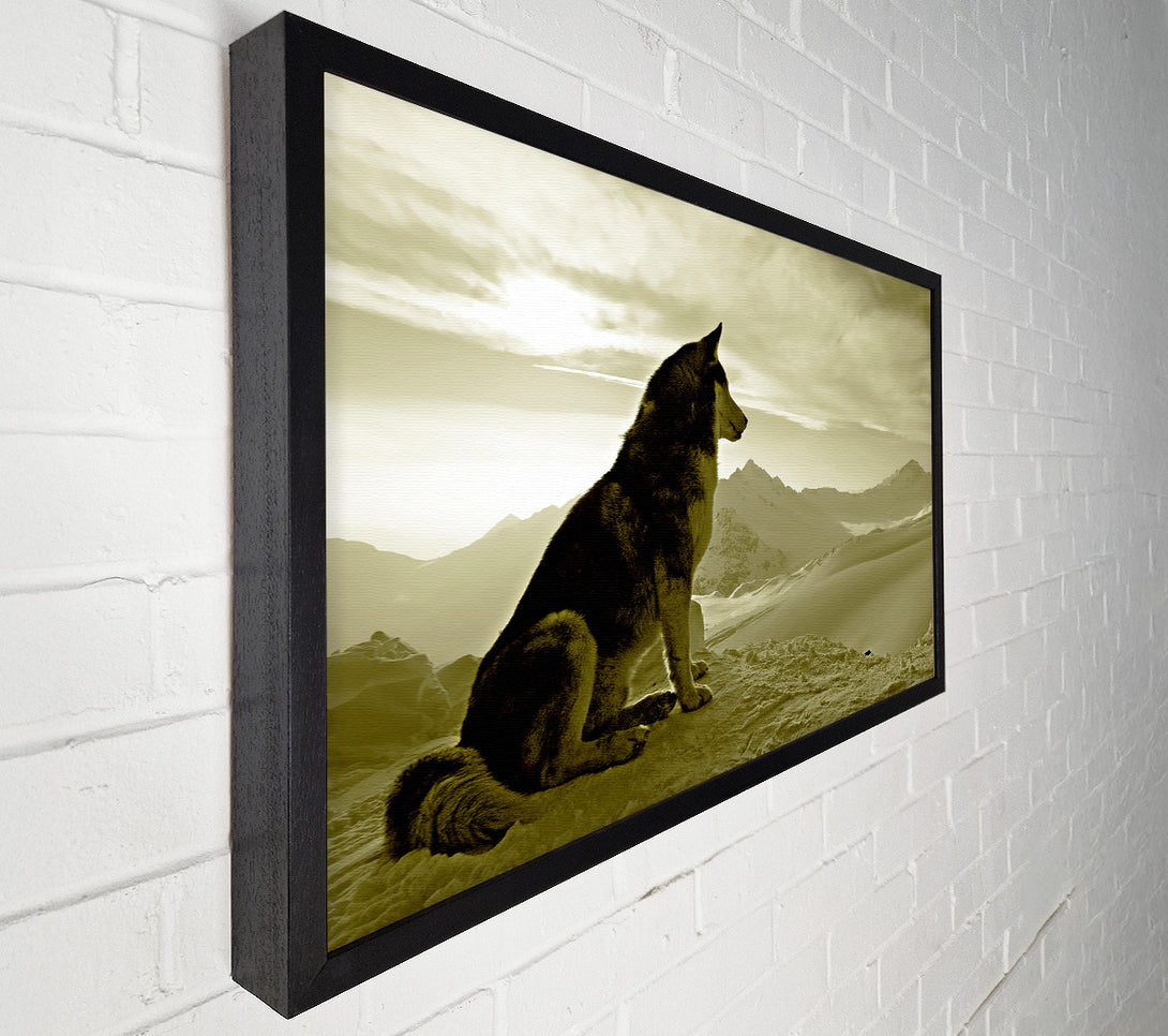  A Canvas Print of Wolf Mountain Canvas Wall Art