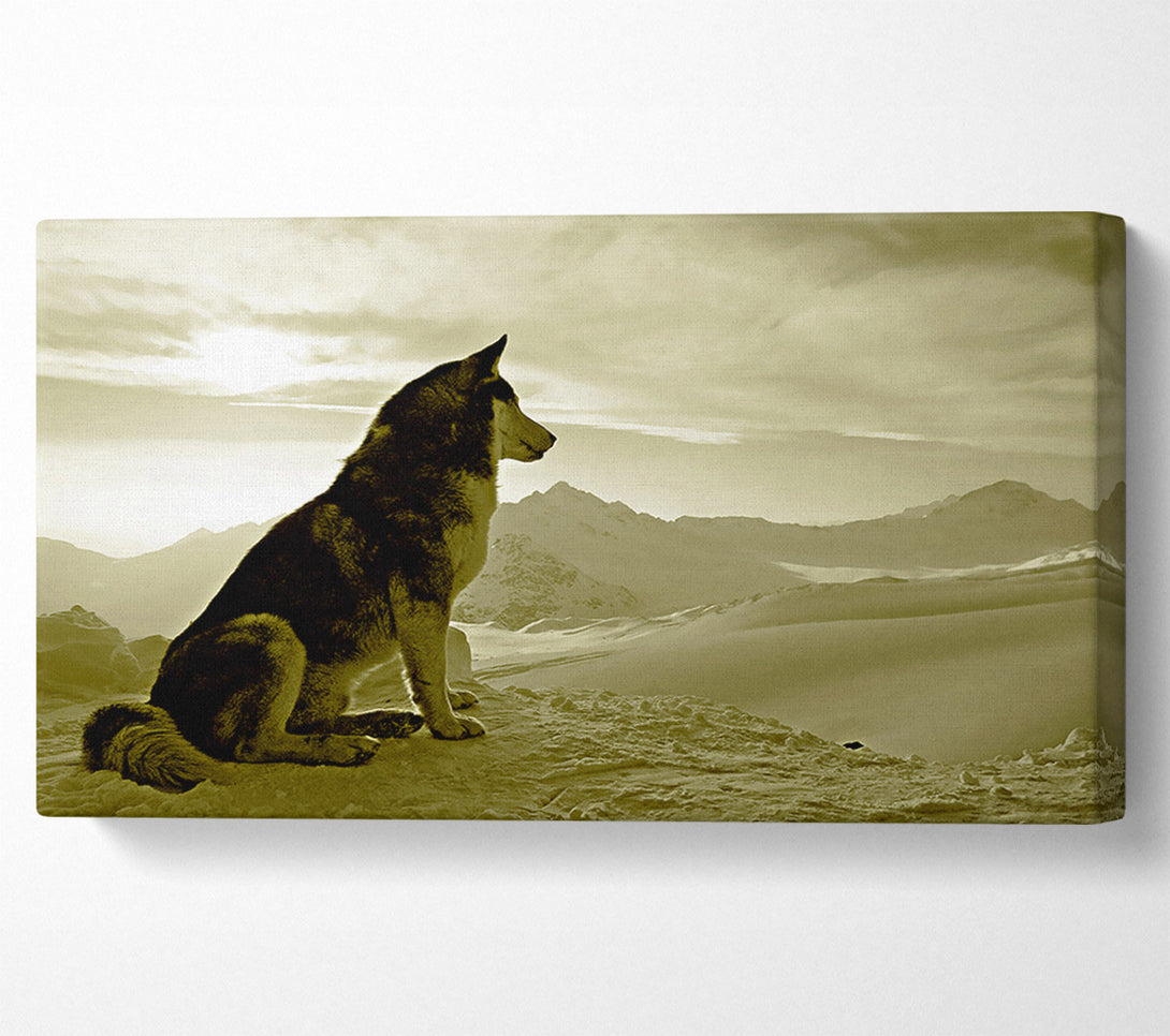  A Canvas Print of Wolf Mountain Canvas Wall Art