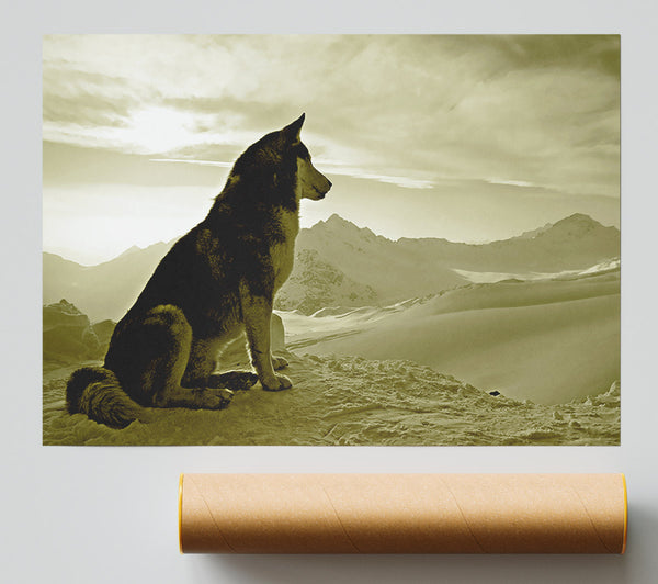 Wolf Mountain Print