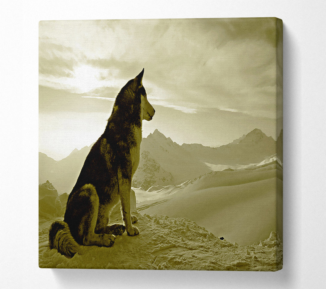  A Canvas Print of Wolf Mountain Canvas Wall Art