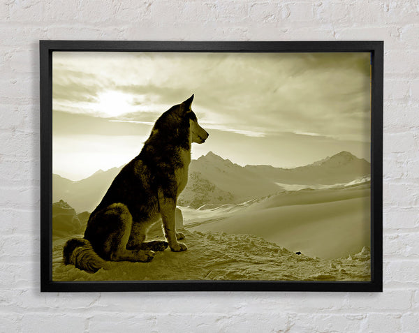 Wolf Mountain Framed Print