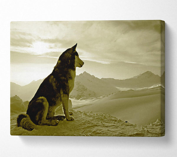  A Canvas Print of Wolf Mountain Canvas Wall Art