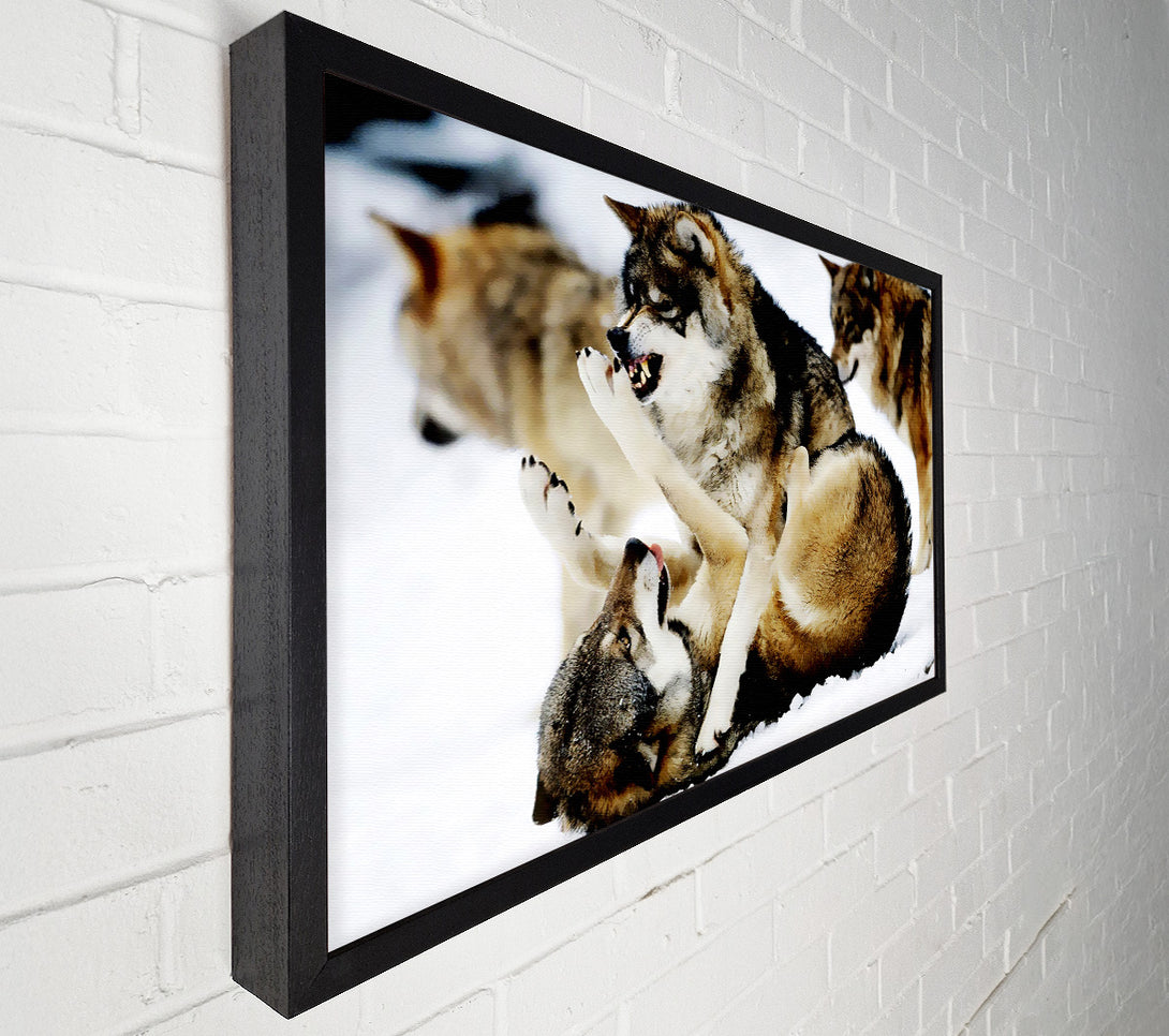  A Canvas Print of Wolf Pack Canvas Wall Art