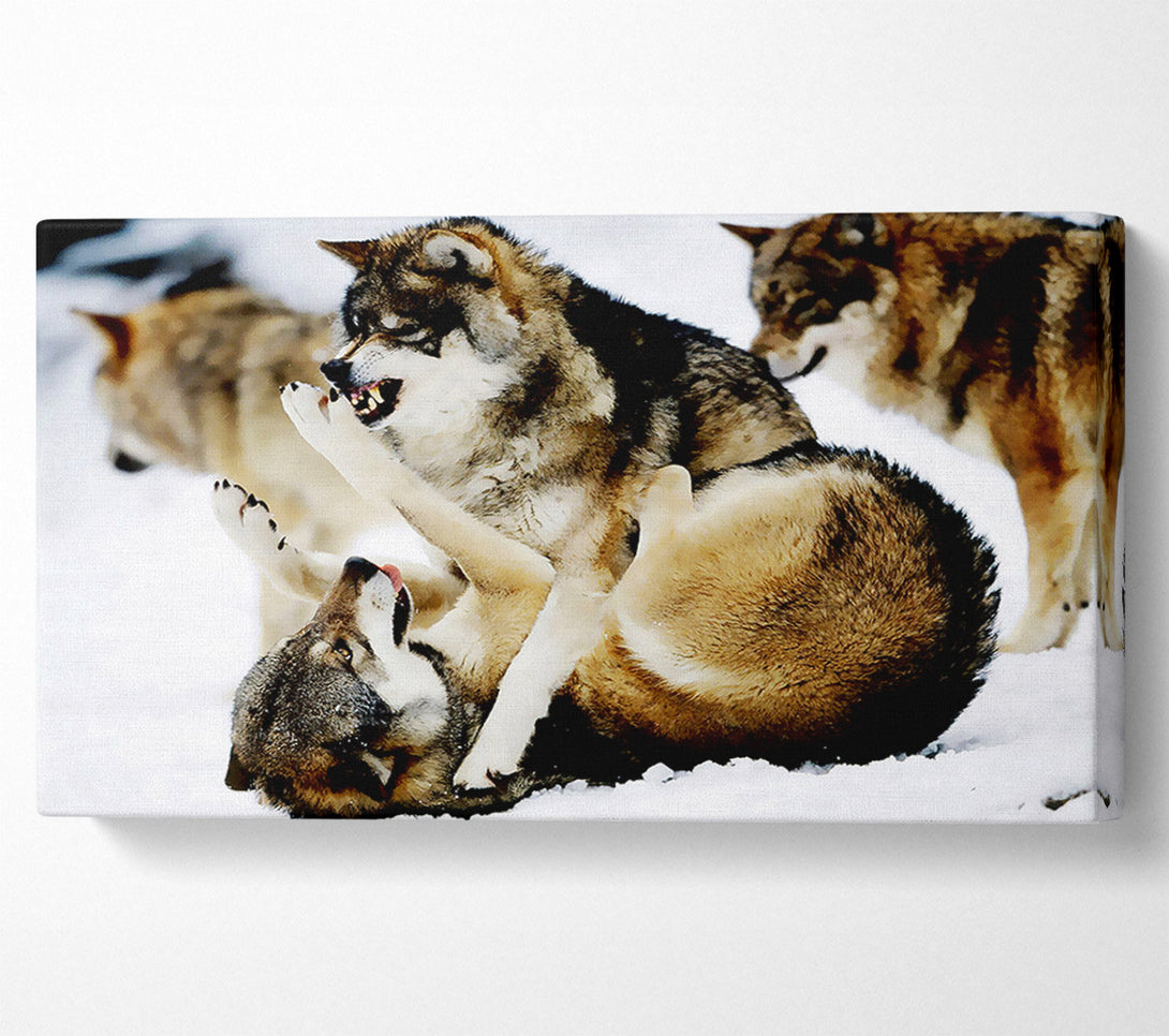  A Canvas Print of Wolf Pack Canvas Wall Art