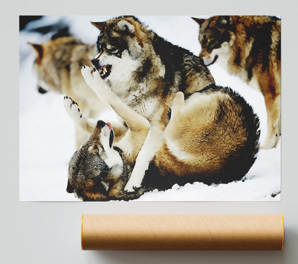 Wolf Pack Giclee Print