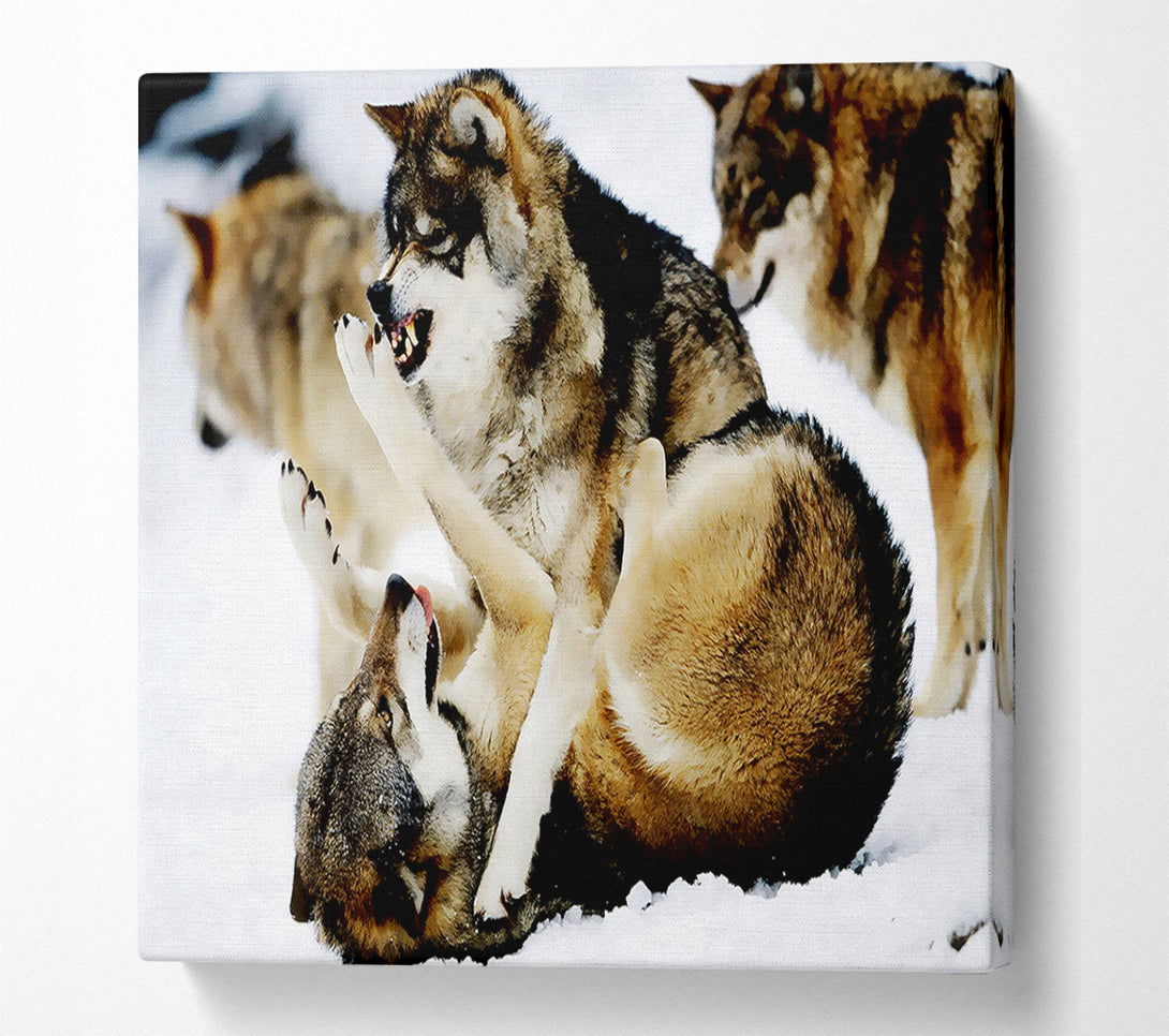  A Canvas Print of Wolf Pack Canvas Wall Art