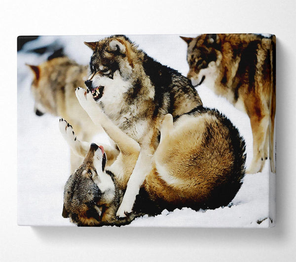  A Canvas Print of Wolf Pack Canvas Wall Art