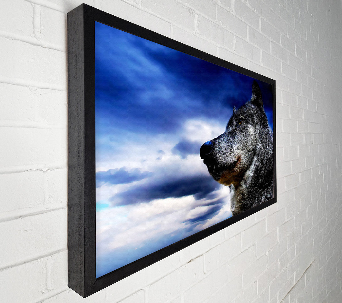  A Canvas Print of Wolf Skies Canvas Print