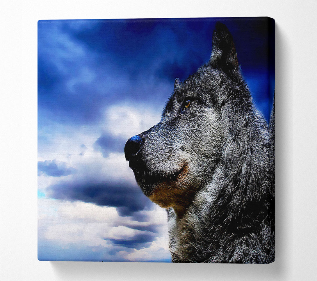  A Canvas Print of Wolf Skies Canvas Print